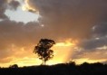 /album/galeria-de-fotos/por-sol-jpg/